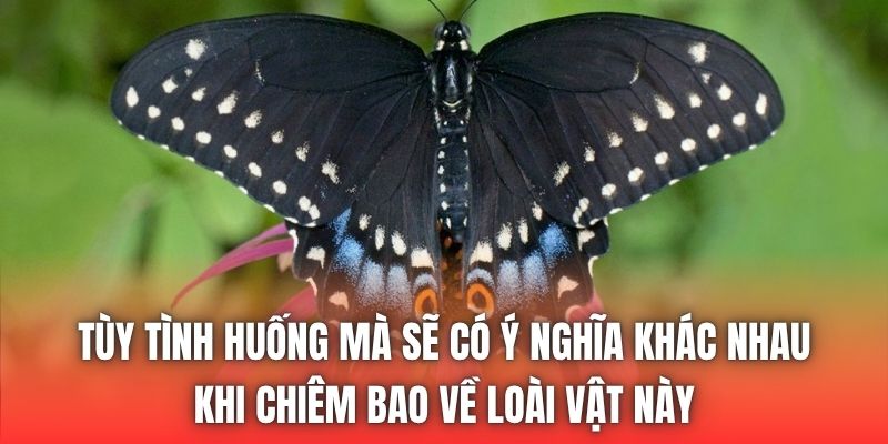 Tùy tình huống mà sẽ có ý nghĩa khác nhau khi chiêm bao về loài vật này